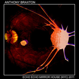 Echo Echo Mirror House (NYC)