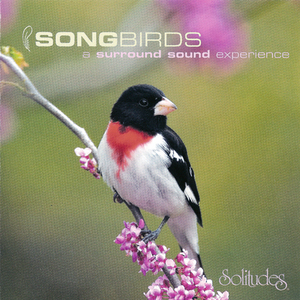 Songbirds: A Surround Sound Experience