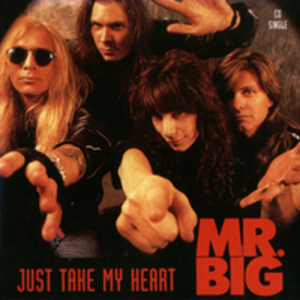 Just Take My Heart [CDS]