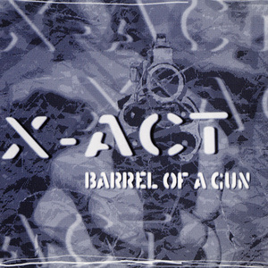Barrel Of A Gun