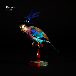 Fabric 78: Raresh