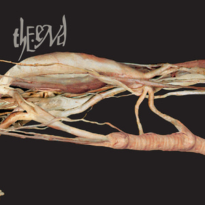 Transfer Trachea Reverberations From Point: False Omniscient