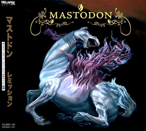 Remission (2005 Japanese Edition)