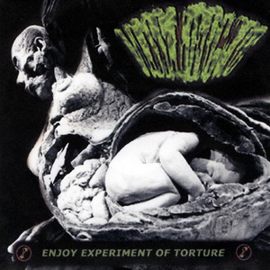 Enjoy Experiment Of Torture