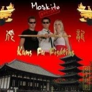 Kung Fu Fighting