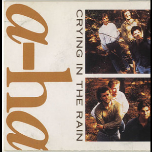 Crying In The Rain [CDS]