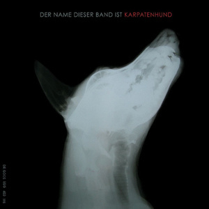 Der Name Dieser Band Ist Karpatenhund