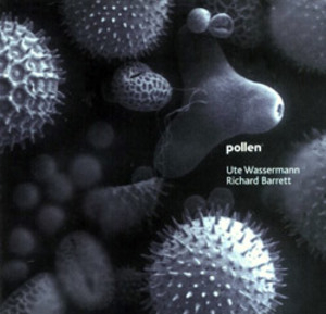 Pollen