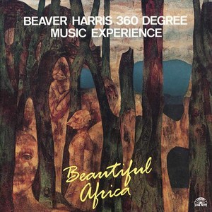 Beaver Harris 360 Degree Music Experience