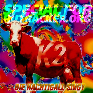 Die Nachtigall Singt