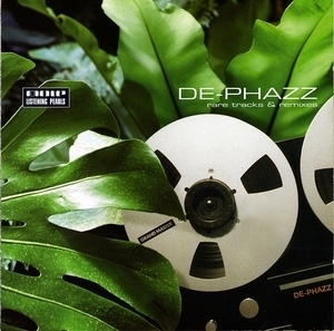 Rare Tracks & Remixes   (Mole Listening Pearls)