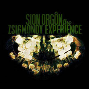 The Zsigmondy Experience