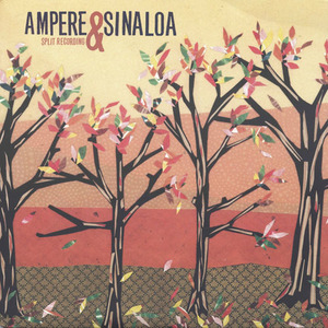 Ampere & Sinaloa Split Recording