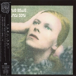 Hunky Dory