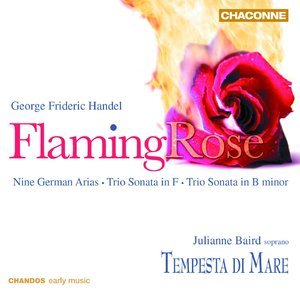 Flaming Rose - Baird - La Tempesta Di Mare