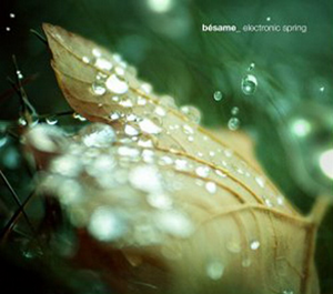 Besame Electronic Spring