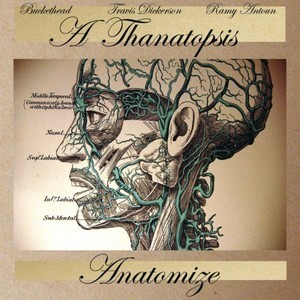 Anatomize