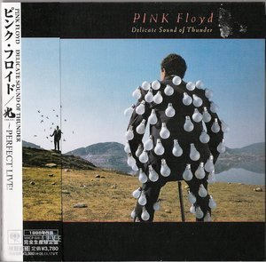 Delicate Sound Of Thunder (Japan) (2CD)