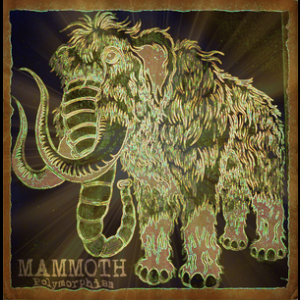 Polymorphism 