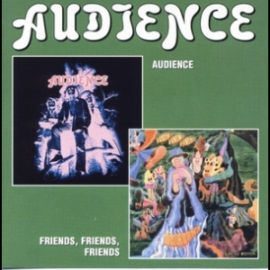 Audience-friends,friends,friends