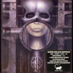 Brain Salad Surgery