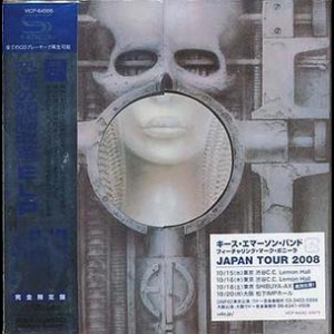 Brain Salad Surgery