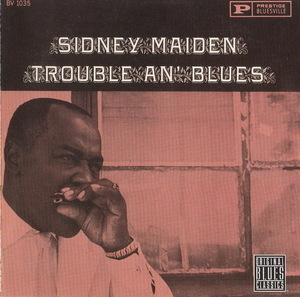 Trouble An' Blues