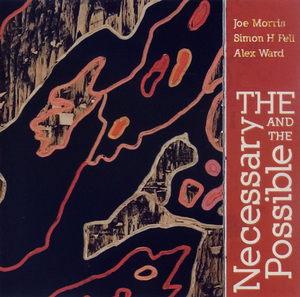 The Necessary And The Possible