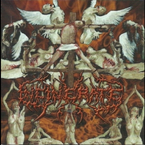 Dissecting The Angels
