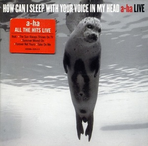 How Can I Sleep With Your Voice In My Head