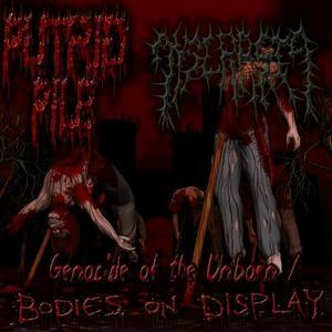 Dyscrasia / Putrid Pile