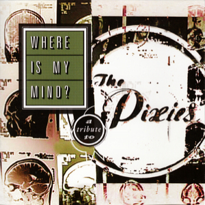 Where Is My Mind? (a Tribute To The Pixies)