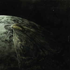 Moth And The Moon