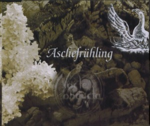 Aschefruhling