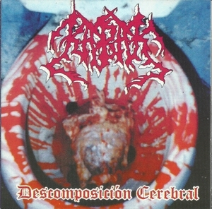 Descomposicion Cerebral