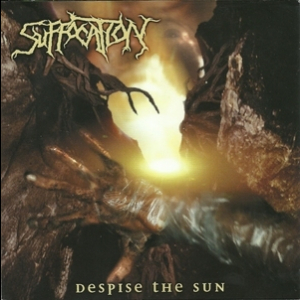 Despise The Sun
