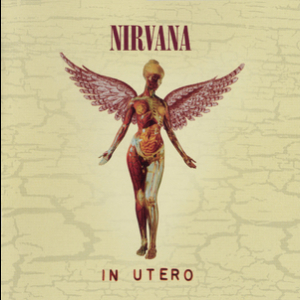 In Utero [20th Anniversary Edition]