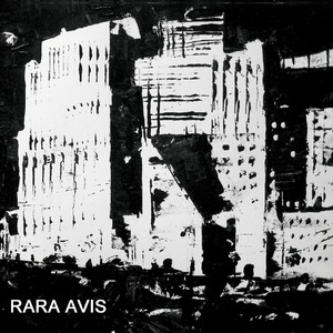 Rara Avis 