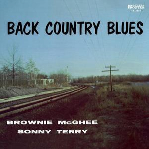 Back Country Blues: 1947-1955 Savoy Recordings