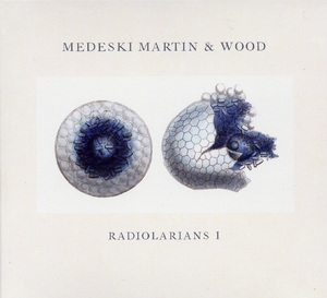 Radiolarians I