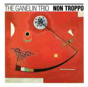 Non Troppo (1990 Hat Hut)