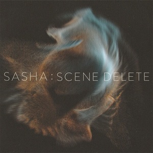 Scene Delete