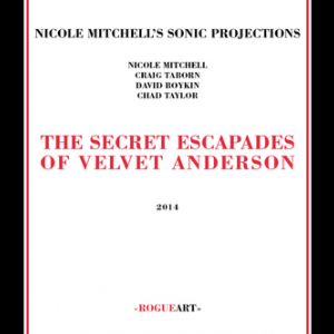 The Secret Escapades Of Velvet Anderson