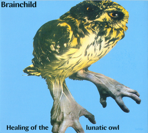 Healing Of The Lunatic Owl