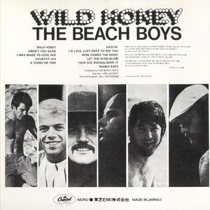 honey wild 1967 boys beach