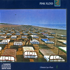 A Momentary Lapse Of Reason