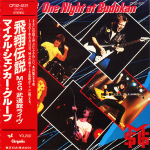 One Night At Budokan