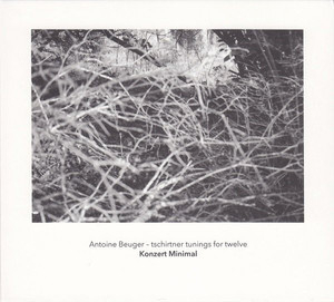 Tschirtner Tunings For Twelve [The Berlin Series No.5] 