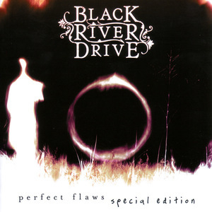 Perfect Flaws (black Disc)