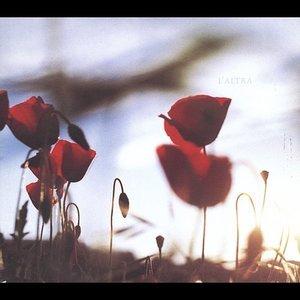 In The Afternoon